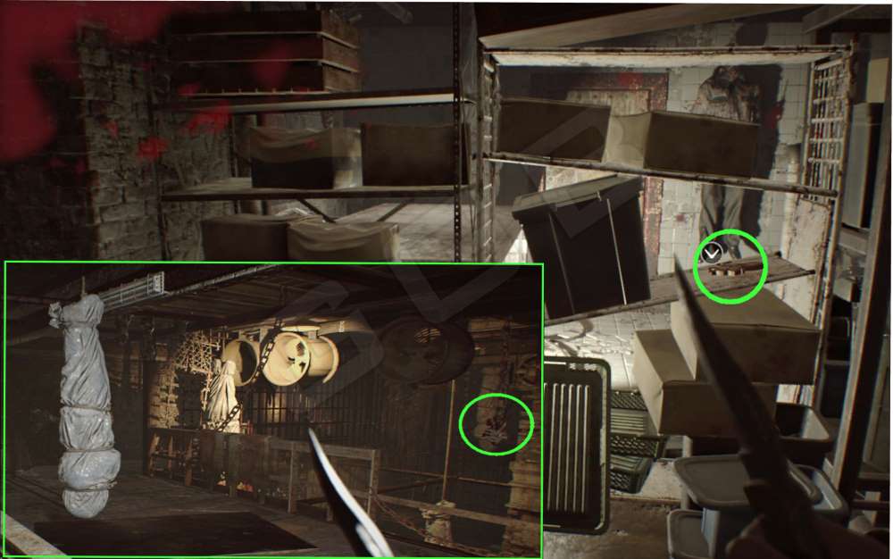 Ключ змей резидент 7. 3 Голова собаки в Resident Evil 7. Резидент ивел 7 головы собак.