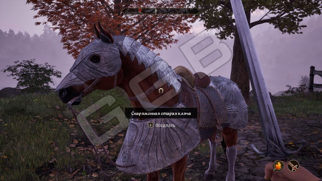Oblivion Remastered: Как получить лошадь, какие и где бывают