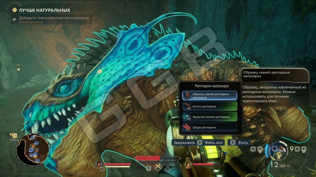 Особенности выбора трансплантата для Инес в The Outer Worlds 2