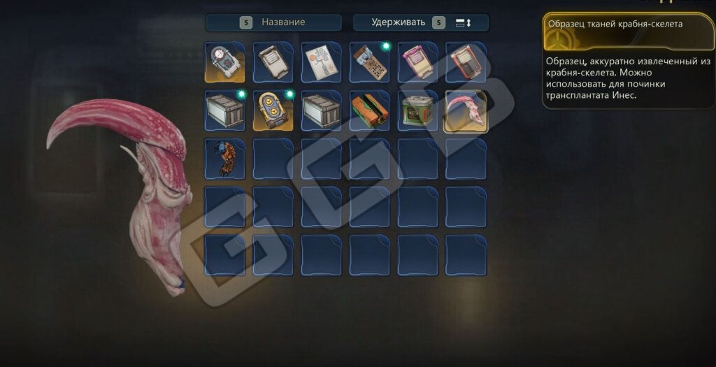 Особенности выбора трансплантата для Инес в The Outer Worlds 2